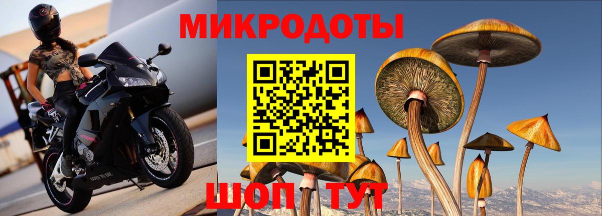 Энгельс  как найти закладки  Вход с VPN  Псилоцибиновые грибы ЛСД 