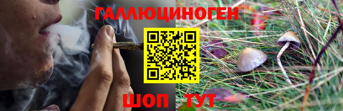 Псилоцибиновые грибы MAGIC MUSHROOMS Энгельс